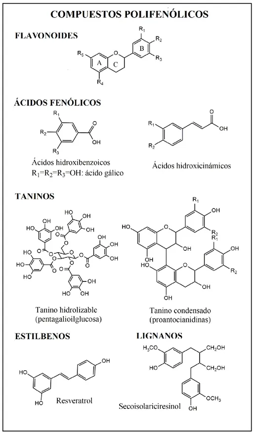 Figura 1: Estructuras de algunos de los compuestos polifenólicos más importantes. 