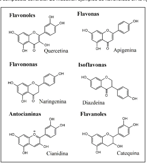 Figura 2: Estructuras de diversos tipos de flavonoides.  