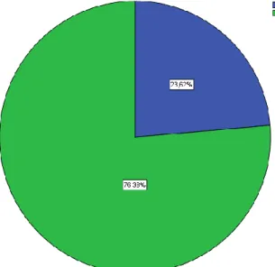 Gráfico Nº 4: Logotipo Carrera 