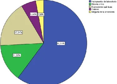 Gráfico Nº 6: Elementos Logotipo 