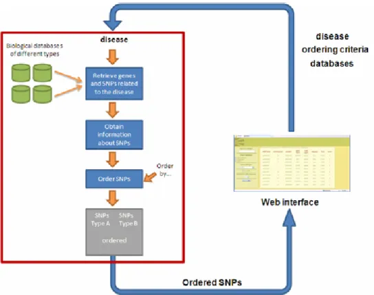 Figure 1 General workflow of the web-based tool (see online version for colours) 