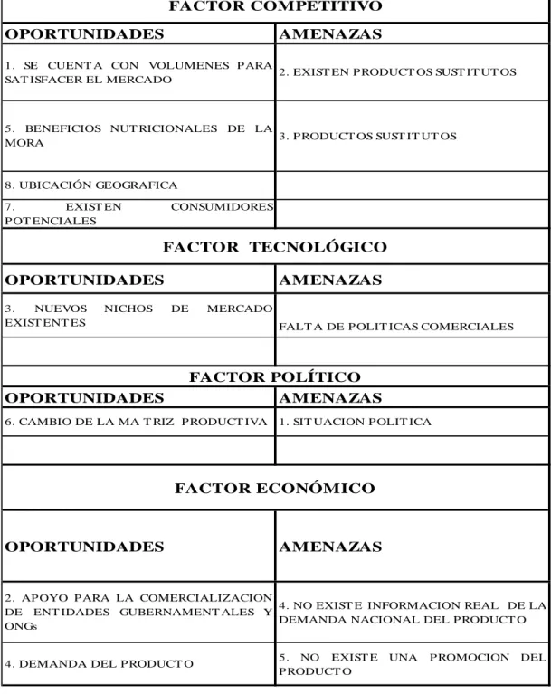 Tabla 28: Matriz de análisis Externo 