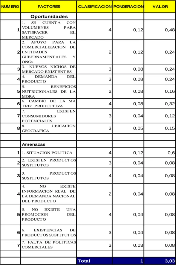 Tabla  30: Matriz de evaluación de análisis Externo 