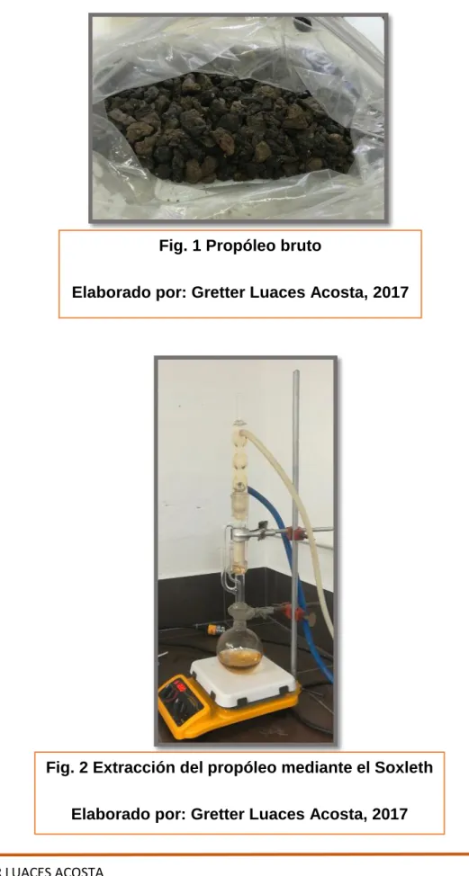 Fig. 1 Propóleo bruto 