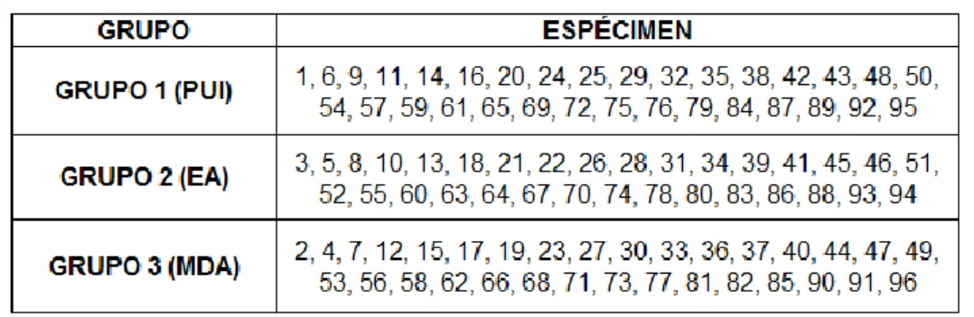 Tabla 1. Asignación aleatoria de los especímenes a los 3 grupos  experimentales 