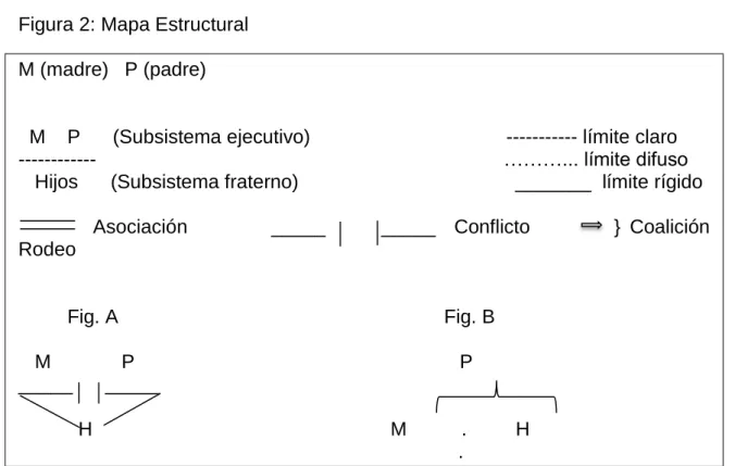 Figura 2: Mapa Estructural  M (madre)   P (padre) 