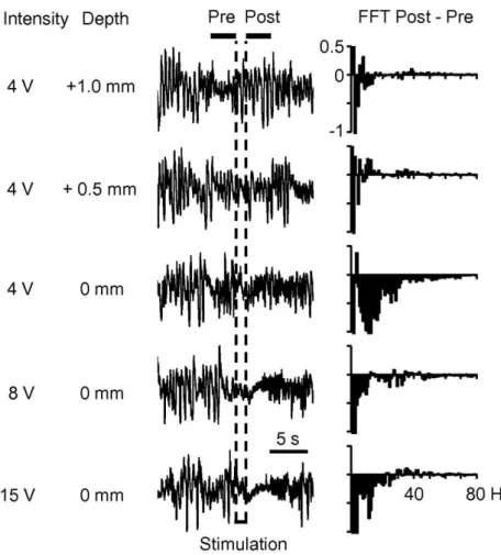 Fig. 1. Electrical stimulation effect obtained for different stimulation intensities and electrode distances from the stereotaxic position  (0 mm) of the parabrachial region of BS