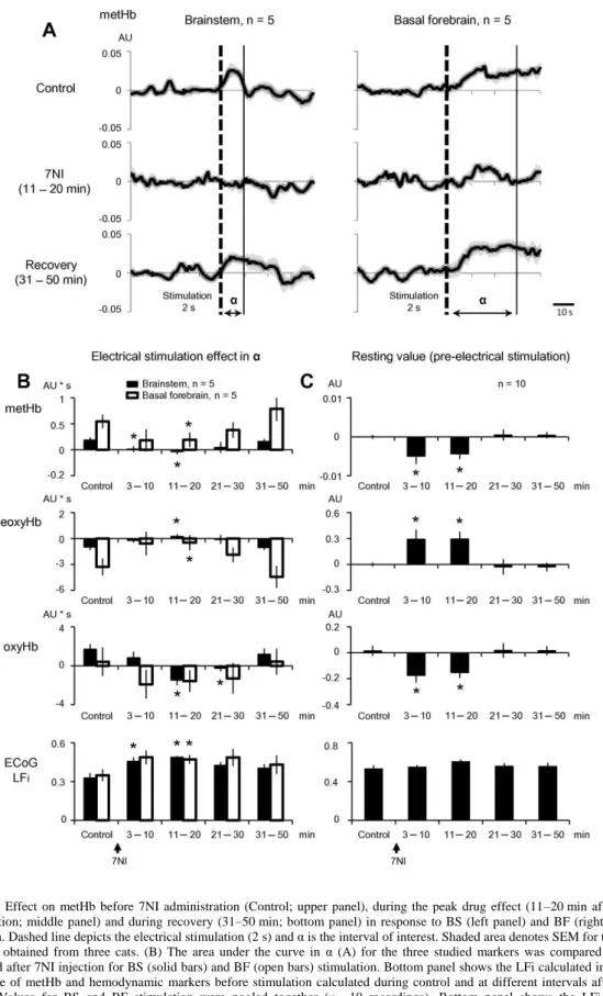 Fig.  4. (A)  Effect  on  metHb  before  7NI  administration  (Control;  upper  panel),  during  the  peak  drug  effect  (11–20 min  after  7NI  administration;  middle  panel)  and during  recovery  (31–50 min;  bottom  panel)  in  response  to  BS  (lef