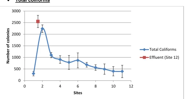 Table VI. Arrangement of sites according to  Tukey’s Test for total coliforms. Each group  contains those sites that were not significantly  different