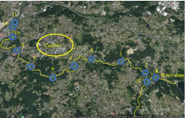 Figure 1. Satellite image representing the sampled stretch of the Mero  River. Blue circles indicate the sampled points