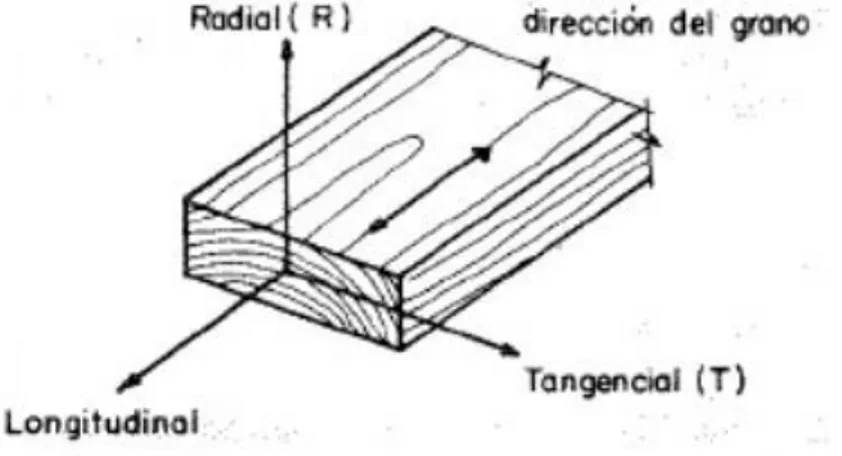 Figura 2. Direcciones ortogonales de la madera.  