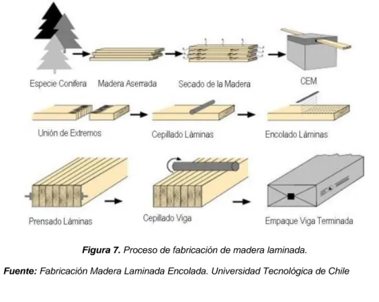 Figura 7. Proceso de fabricación de madera laminada. 