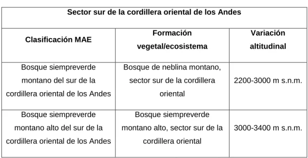 Tabla 3. Clasificación de ecosistemas propuestos por el MAE 