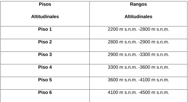Tabla 4. División de rangos altitudinales de seis pisos 