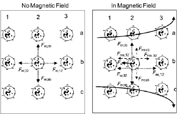 Figure 4. Forces on superparamagnetic particles within a colloidal crystal array in the absence and  presence of a magnetic field
