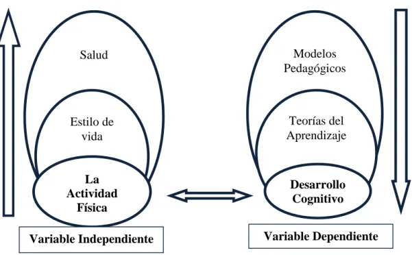 Gráfico 2: Categorías Fundamentales 