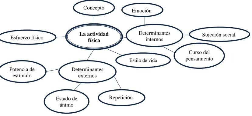 Gráfico 3: Constelación de ideas VI 