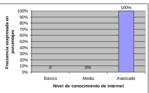 Figura 4. Nivel de conocimiento de Internet 