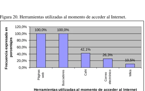 Figura 20. Herramientas utilizadas al momento de acceder al Internet. 