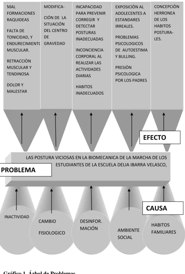 Gráfico 1. Árbol de Problemas.                    