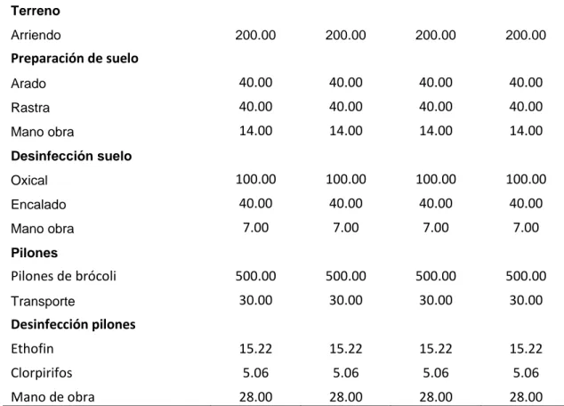 Cuadro  12.  Costos  de  producción  por    hectárea  con  la  aplicación  de      fitohormonas  en  el  cultivo  de  brócoli  en  la  variedad  Domador  (Brassica oleracea l)