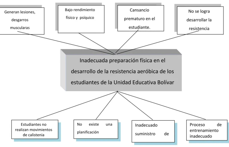 Figura N°- 1: Árbol de problema 