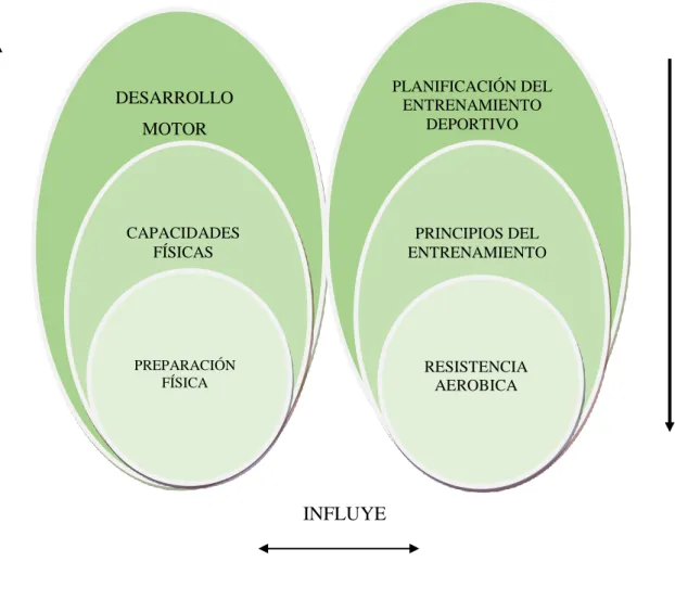 Figura N°- 2 : Red de inclusiones conceptuales. 
