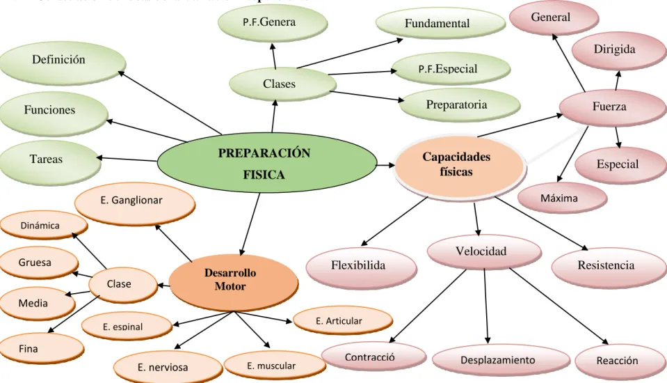 Figura N°- 3 : Categorías 