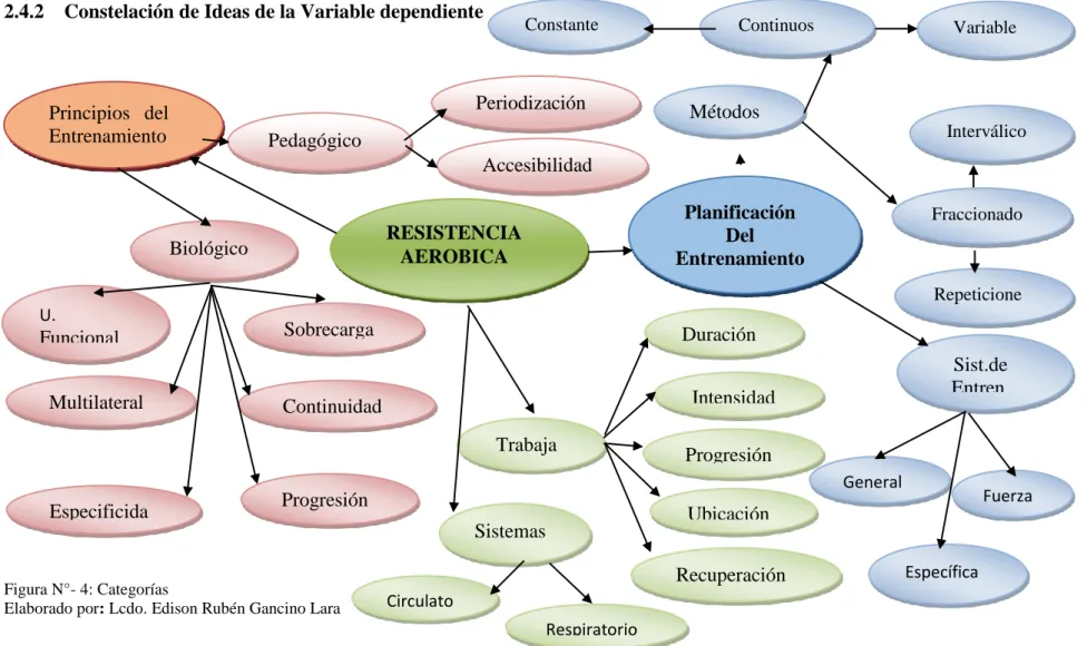 Figura N°- 4: Categorías 