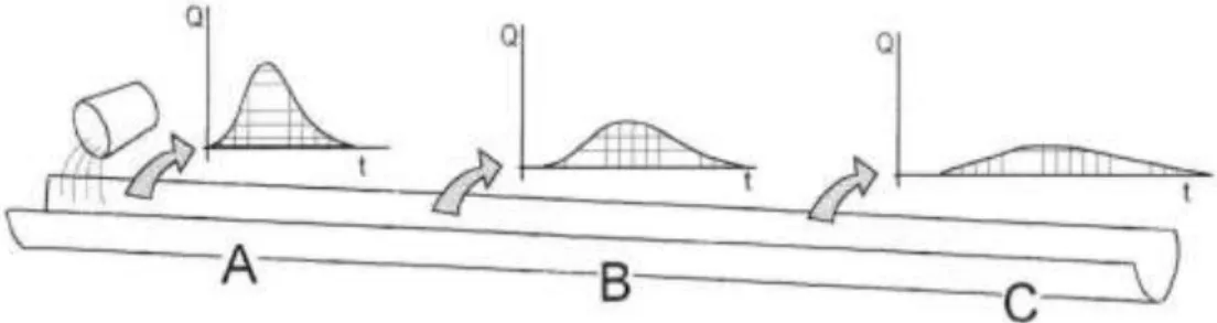 Figura 5. Evolución de un hidrograma. 