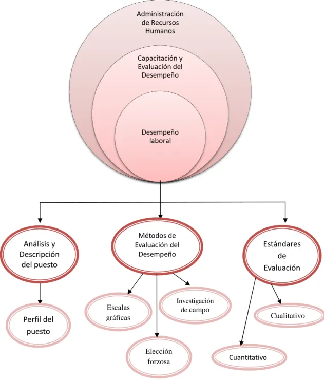 Gráfico Nº2: Red conceptual Variable Independiente