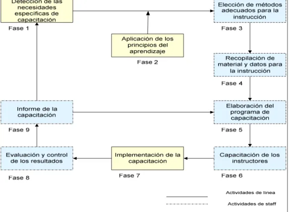 Gráfico Nº6:  El ciclo de la capacitación 