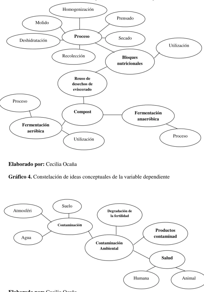 Gráfico 3. Constelación de ideas conceptuales de la variable independiente 