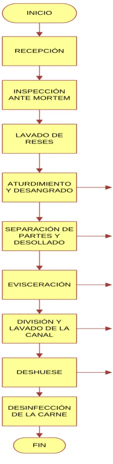 Gráfico 5. Diagrama de Flujo del Proceso de Faenamiento  