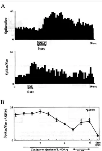 FIG.  3.  (A)  The  effect  of  application  of  the  NO  donors  SNAP  and  SNP  on  the  spontaneous  activity  of  PGN  cells