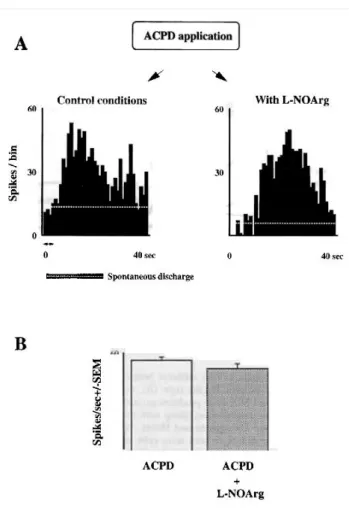 Figure  5,  the  excitatory  respose  evoked  by  ACPD  application  (Fig.  5A,  left  PSTH)  was  essentially  unaffected by L- NOArg (right PSTH)