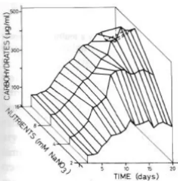 Fig.  3.  Chlorophyll  a  concentration  in  mass  cultures  of  C.  stigmatophora  at  different  nutrient  concentrations,  expressed  as  NaNO 3 