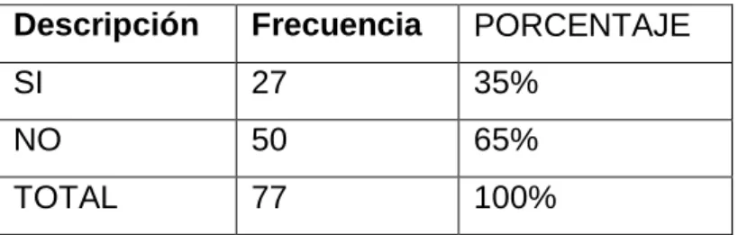 Gráfico No 13 