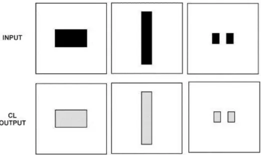Fig.  3. Edge  detection  through  afferent  connections.  Inputs  of  different  forms  and  sizes  were  presented  (top)