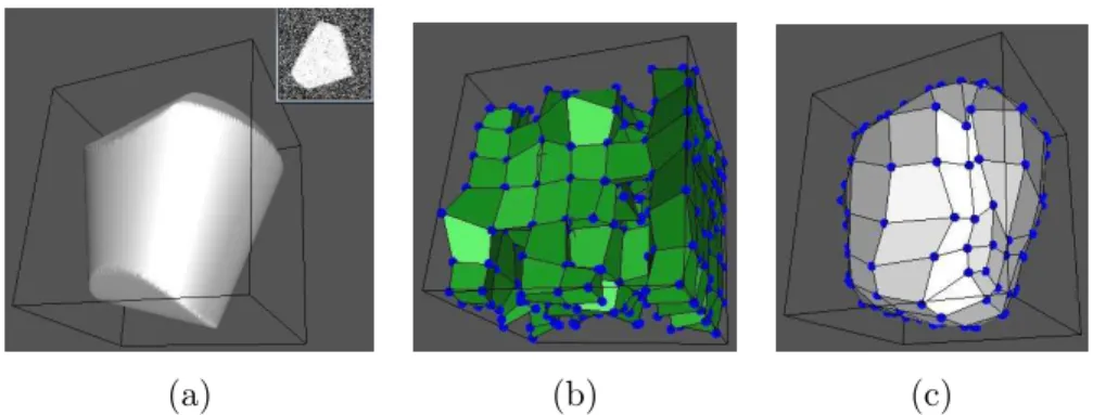 Figure 3.9: Results obtained in an image with Gaussian noise. (a) Image to segment. The inset represents a 2D section of the image with the added Gaussian noise