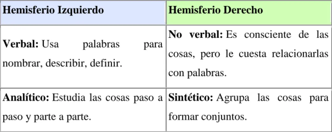 Ilustración 8. Hemisferio Derecho 