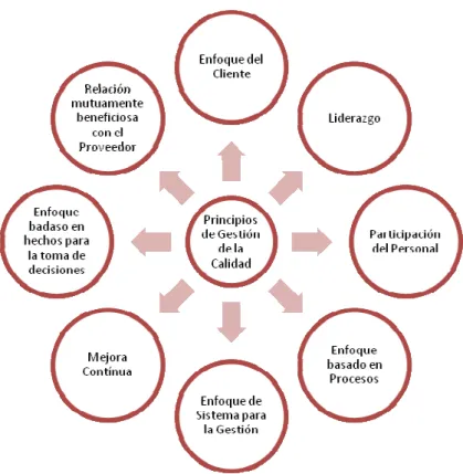 Figura 3: Principios de la Gestión de Calidad 