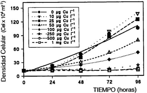 Figura 7.- Crccimicntode los cultivos (expresada en célulasx 10&#34; ml^') de Phaeodactylum tricornutum con diferentea concentracionea de cobre y densidad celular inicial de 12 x 10&#34;