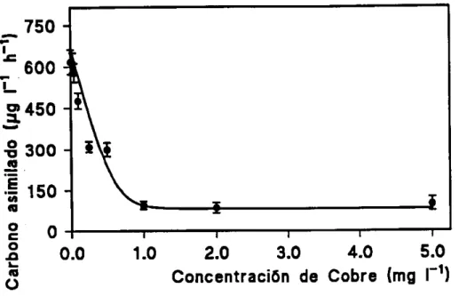 Figura 15.- Tasa de incorporación de carbono (expresado en Ng I^' h'') por células de P