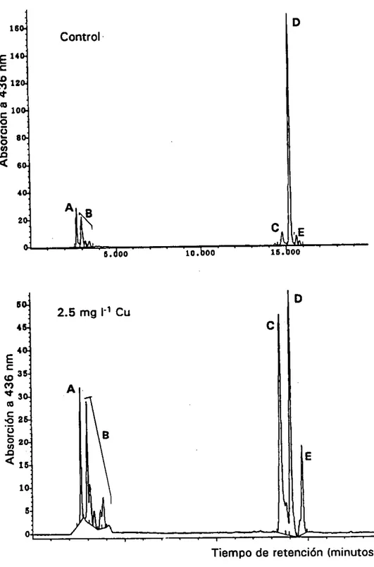 Figure 17.- Cromatogramas de los pigmcntos de las células de P. tricornutum cultivadas sin cobre (control) y con 2.5 mg I^' de cobrc en el medio