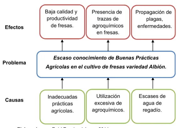 Figura 1. Árbol de Problemas 