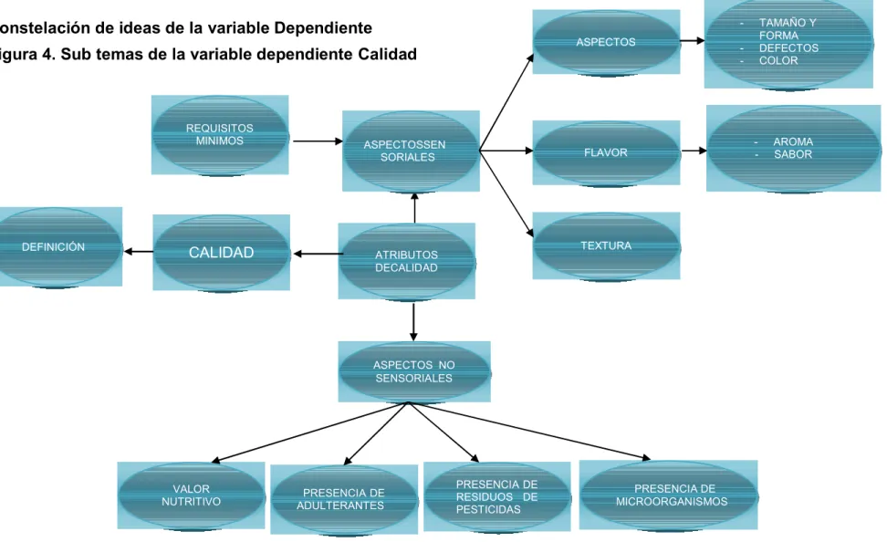 Figura 4. Sub temas de la variable dependiente Calidad 