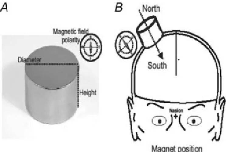 Figure 1. The magnet and its location  A, the magnet. B, schematic illustration of  the magnet located over the cortical  representation of the hand (hot spot).