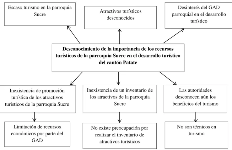 Gráfico 1: Árbol de problemas 