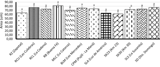 Figura 4. Actividad metabólica de los aislados de Moniliophthora roreri.  Las barras de  error indican ±ES; letras diferentes indican diferencias significativas entre los promedios a  p&lt;0.05 (prueba de Tukey)